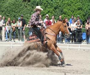 пазл Reining - Западная лошадях - Ride Cowboy